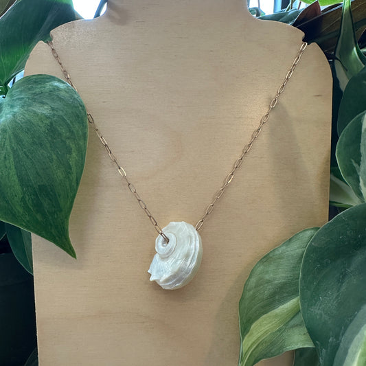 Delphinula Shell Necklace, Paperclip Chain @ THIS LAND YOGA