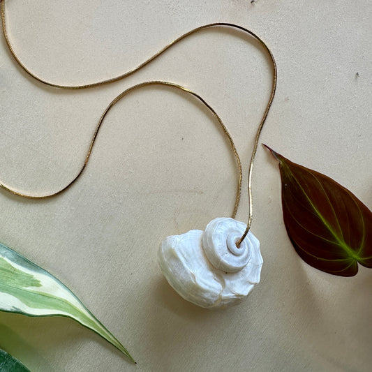 Delphinula Shell Necklace